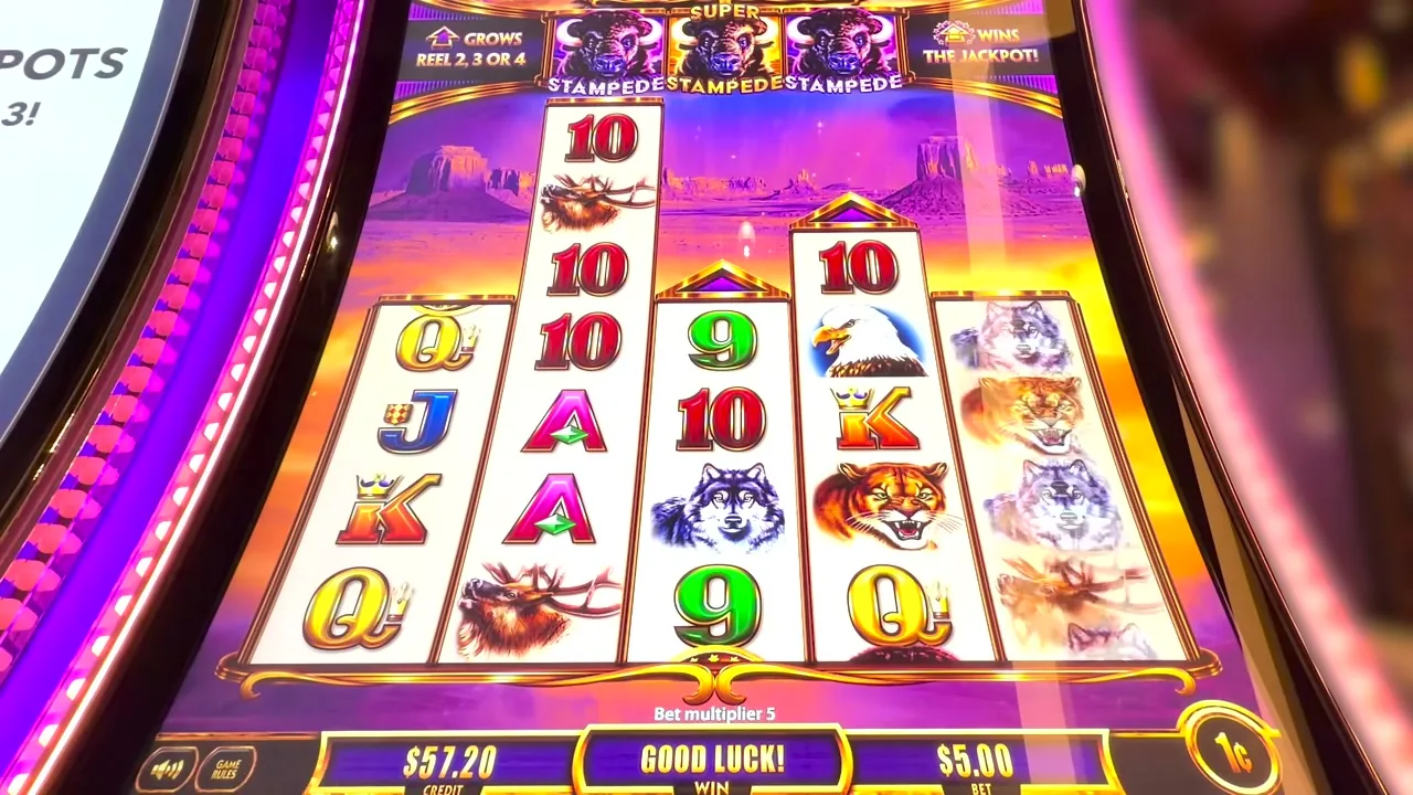 Tragamonedas online con buen RTP en casinos con licencia en Argentina